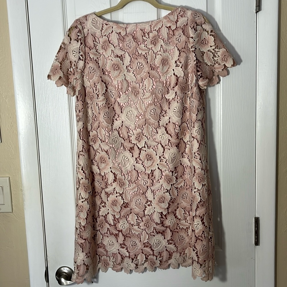 Tahari Arthur Levine petite lace floral pink overlay midi short slv dress 8P